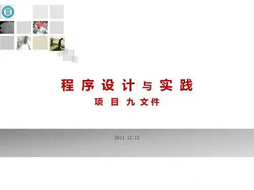 9 vbnet文件