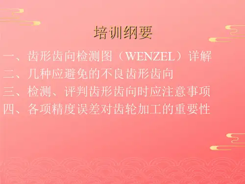 齿轮的齿形齿向介绍2021文档PPT