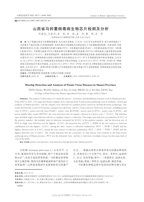山西省马铃薯病毒病生物芯片检测及分析