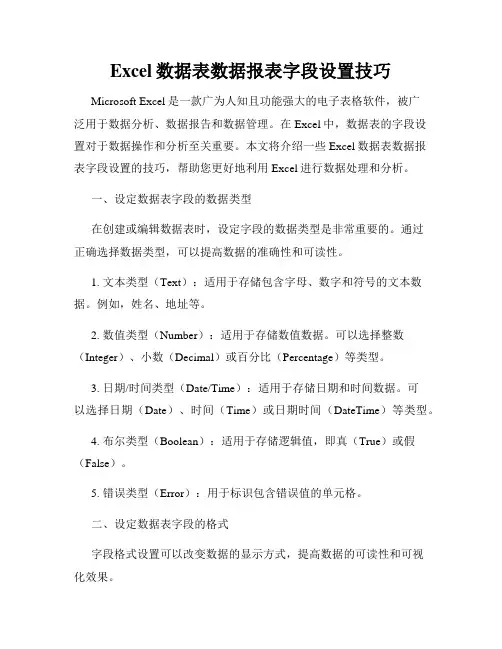 Excel数据表数据报表字段设置技巧