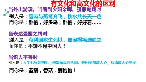 高中政治人教版必修三文化生活 2.1感受文化影响 课件