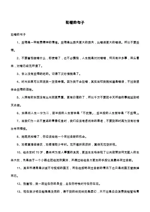犯错的句子