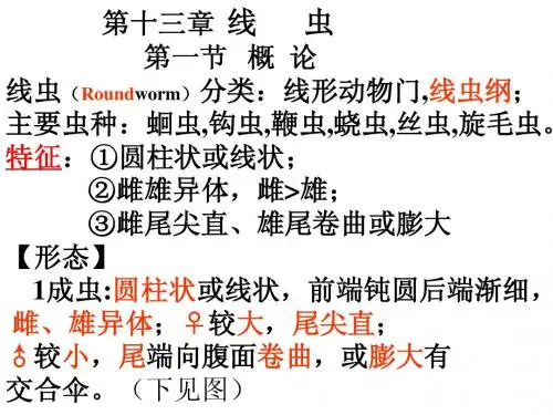 1线虫概论
