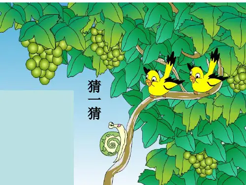 小学音乐歌曲《蜗牛与黄鹂鸟》课件(1)