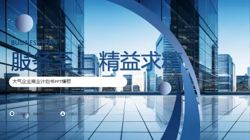 蓝色大气商业计划书创业计划书