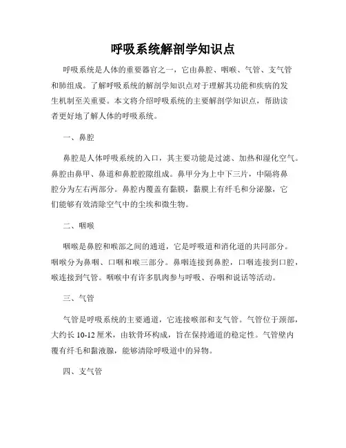 呼吸系统解剖学知识点