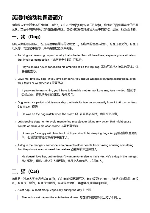 关于动物的俚语英语