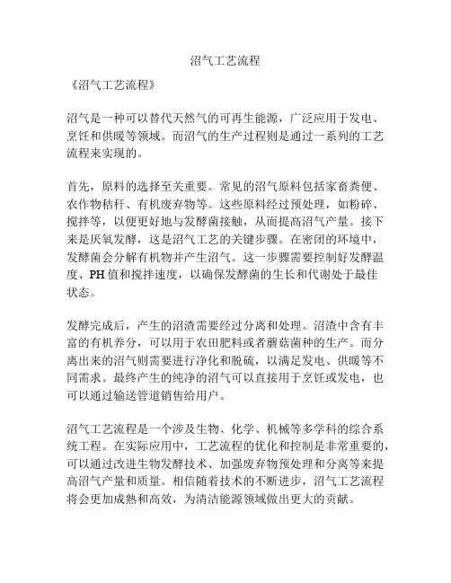 沼气工艺流程