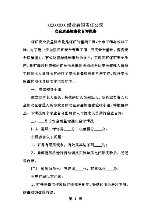 煤矿安全质量标准化自评报告