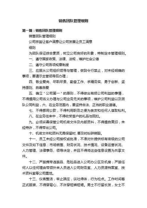 销售团队管理细则