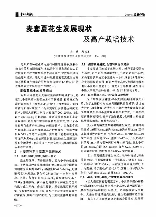 麦套夏花生发展现状及高产栽培技术