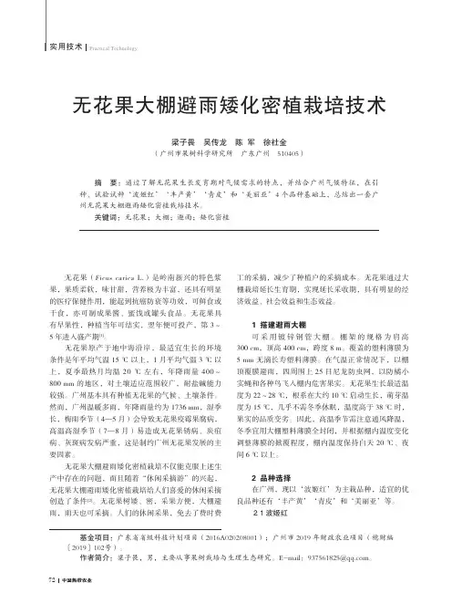 无花果大棚避雨矮化密植栽培技术