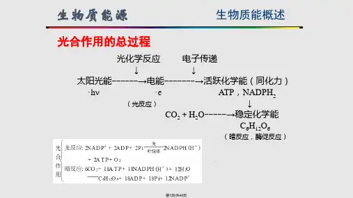 能源化学生物质能源PPT课件