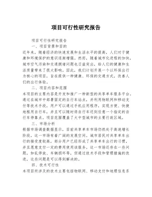 项目可行性研究报告