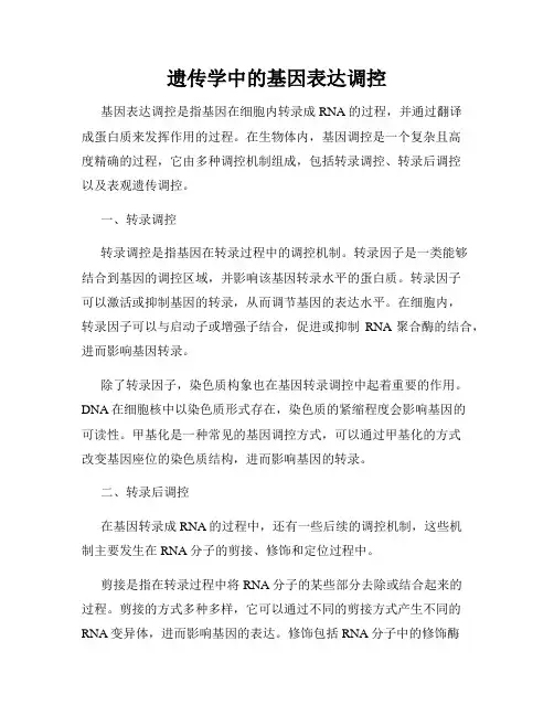 遗传学中的基因表达调控