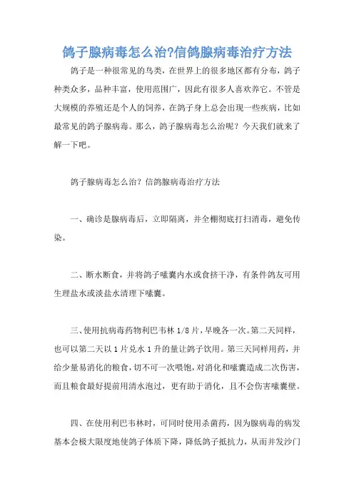 鸽子腺病毒怎么治-信鸽腺病毒治疗方法