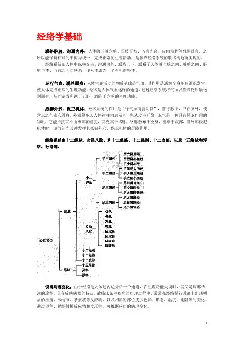 经络学基础