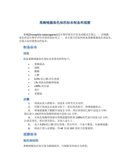果蝇唾腺染色体的标本制备和观察