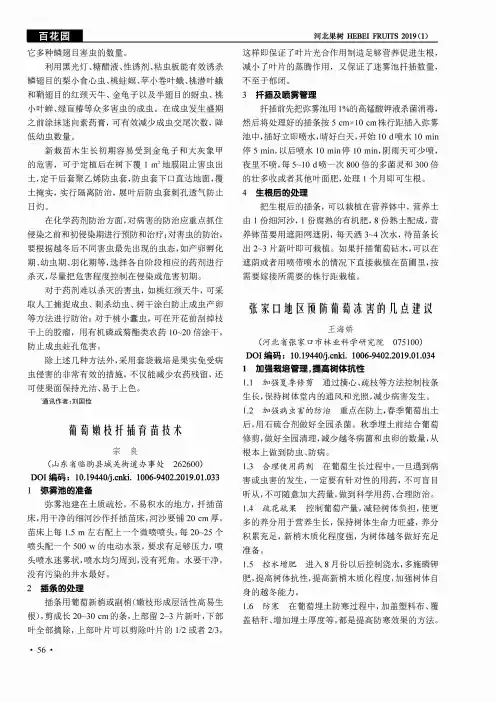 葡萄嫩枝扦插育苗技术
