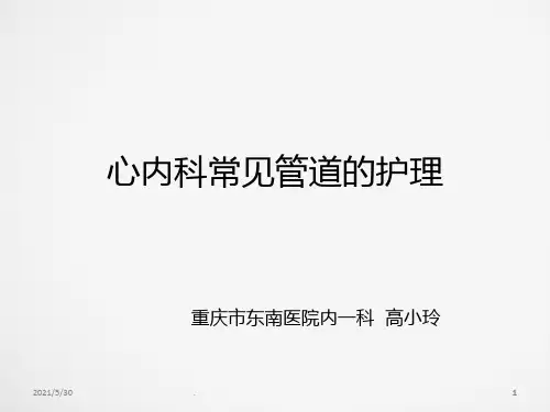 常见管道的护理常规PPT课件