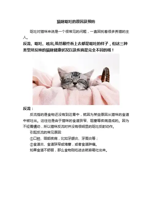 猫咪呕吐的原因及预防