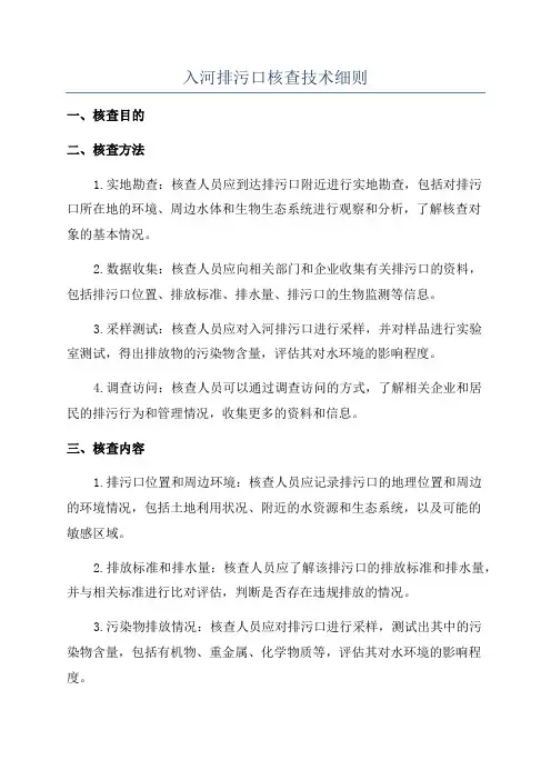 入河排污口核查技术细则
