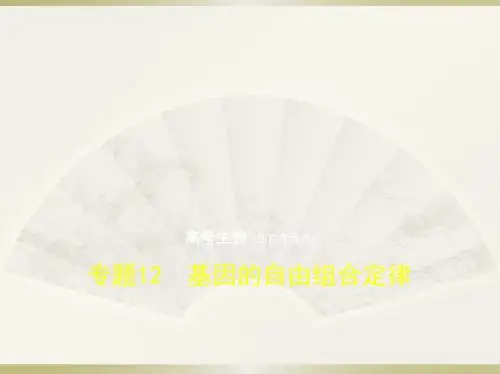 2019版高考生物(5年高考+3年模拟)精品课件北京专版：专题12 基因的自由组合定律(共88张PPT)