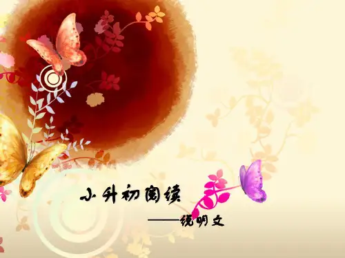 统编版语文六年级下册说明文阅读 课件(共18张PPT)