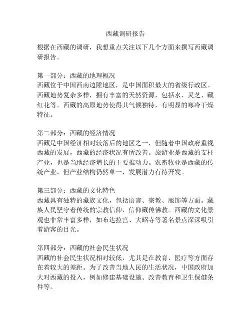 西藏调研报告