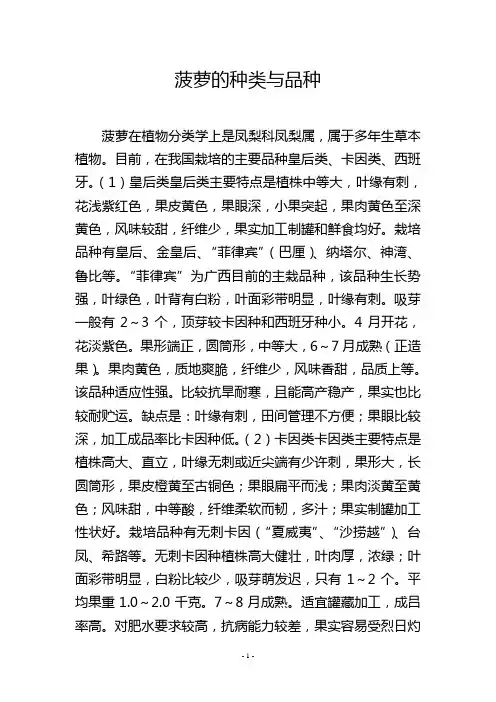 菠萝的种类与品种