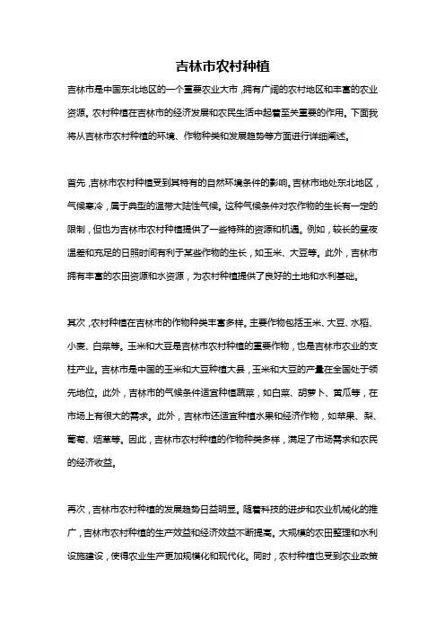 吉林市农村种植
