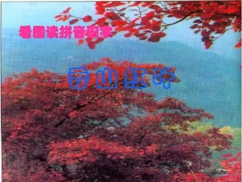 1-香山红叶