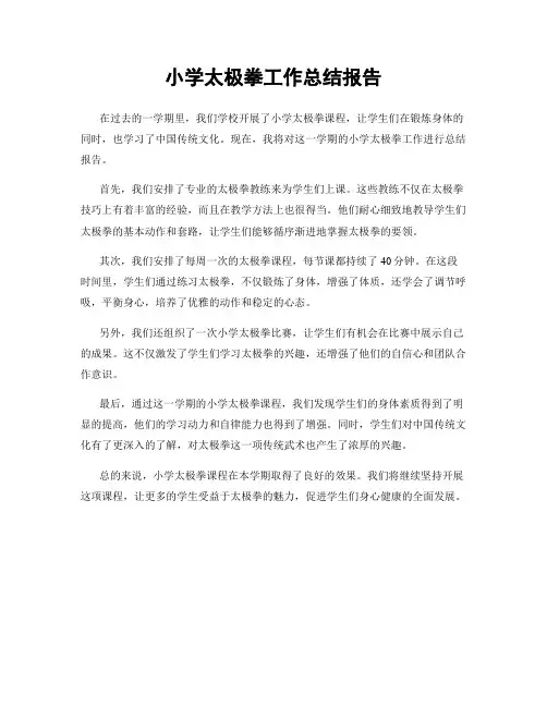 小学太极拳工作总结报告