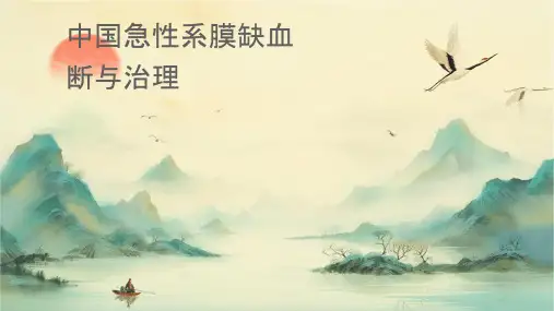中国急性肠系膜缺血诊断与治疗专家共识护理课件
