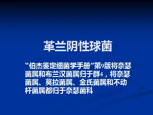 革兰阴性球菌ppt课件