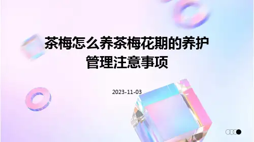 茶梅怎么养茶梅花期的养护管理注意事项