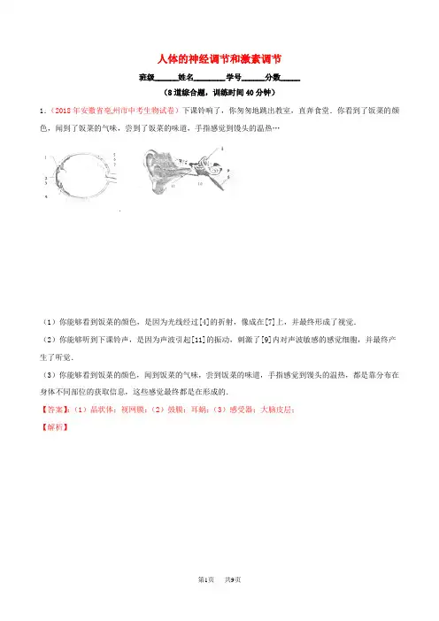 中考生物大题狂做系列 专题07 人体的神经调节和激素调节(含解析)
