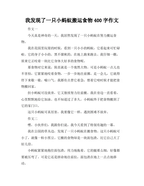 我发现了一只小蚂蚁搬运食物400字作文