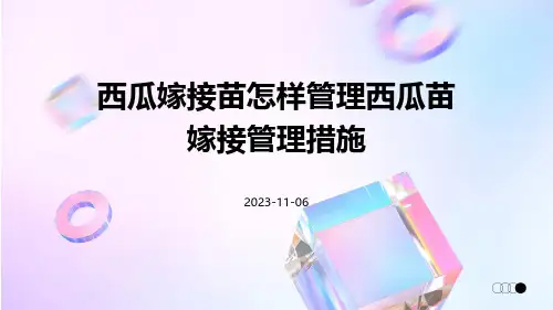 西瓜嫁接苗怎样管理西瓜苗嫁接管理措施