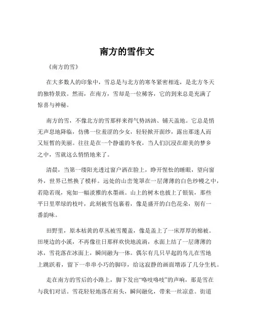 南方的雪作文