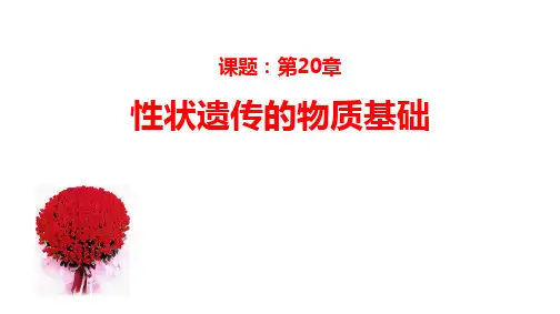 《性状遗传的物质基础》PPT课件