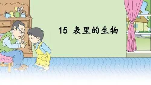统编教材部编人教版六年级下册语文《15 表里的生物》PPT课件