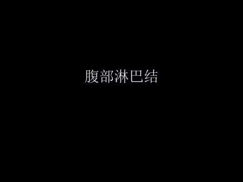 (完整版)腹部淋巴结影像学解剖