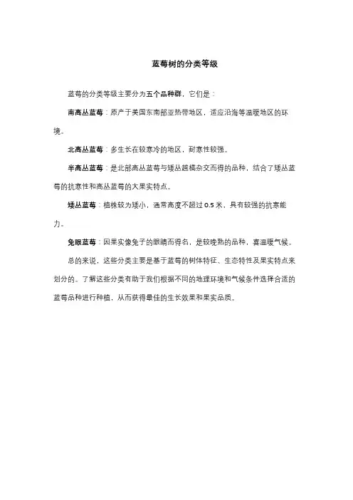 蓝莓树的分类等级