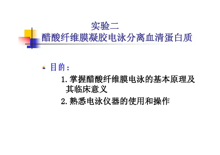 试验二醋酸纤维膜凝胶电泳分离血清蛋白质