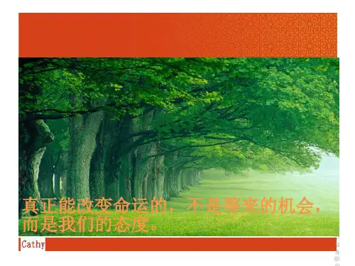 航空服务职业认知