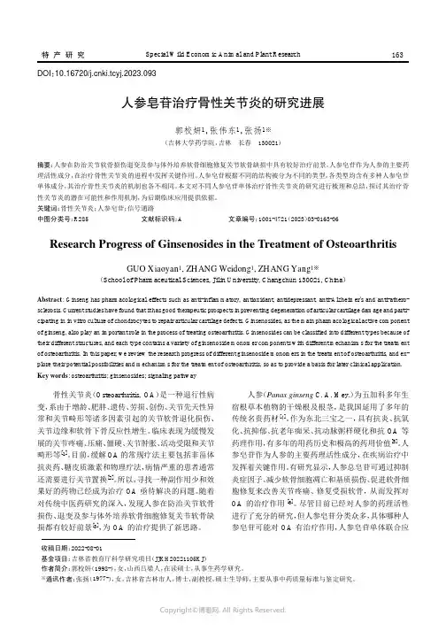 人参皂苷治疗骨性关节炎的研究进展