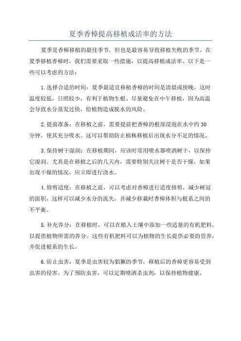 夏季香樟提高移植成活率的方法