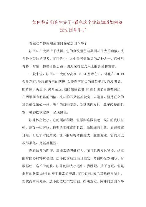 如何鉴定狗狗生完了-看完这个你就知道如何鉴定法国斗牛了