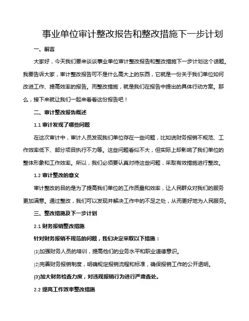 事业单位审计整改报告和整改措施下一步计划
